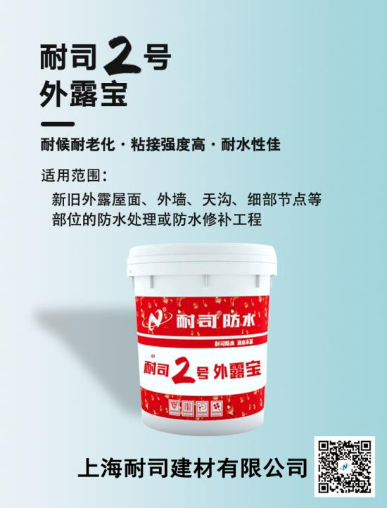 耐司2號外露寶